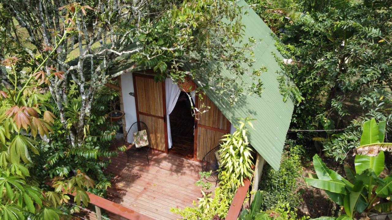 Alojamiento Natural La Cueva De Morgan San Rafael San Rafael  Εξωτερικό φωτογραφία