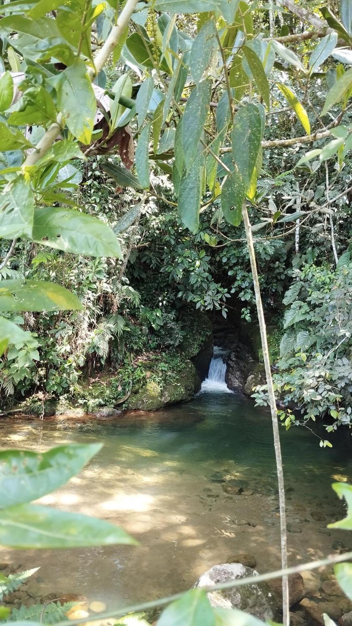 Alojamiento Natural La Cueva De Morgan San Rafael San Rafael  Εξωτερικό φωτογραφία